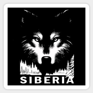 Siberian wolf Sticker